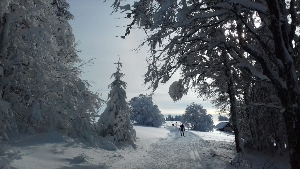 Skipistes tijdens een kampeervakantie in de Vogezen in de winter - Camping Belle Hutte