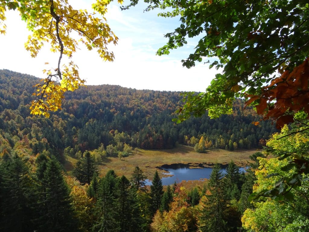 Lac au cœur des Vosges - Camping Belle Hutte à La Bresse