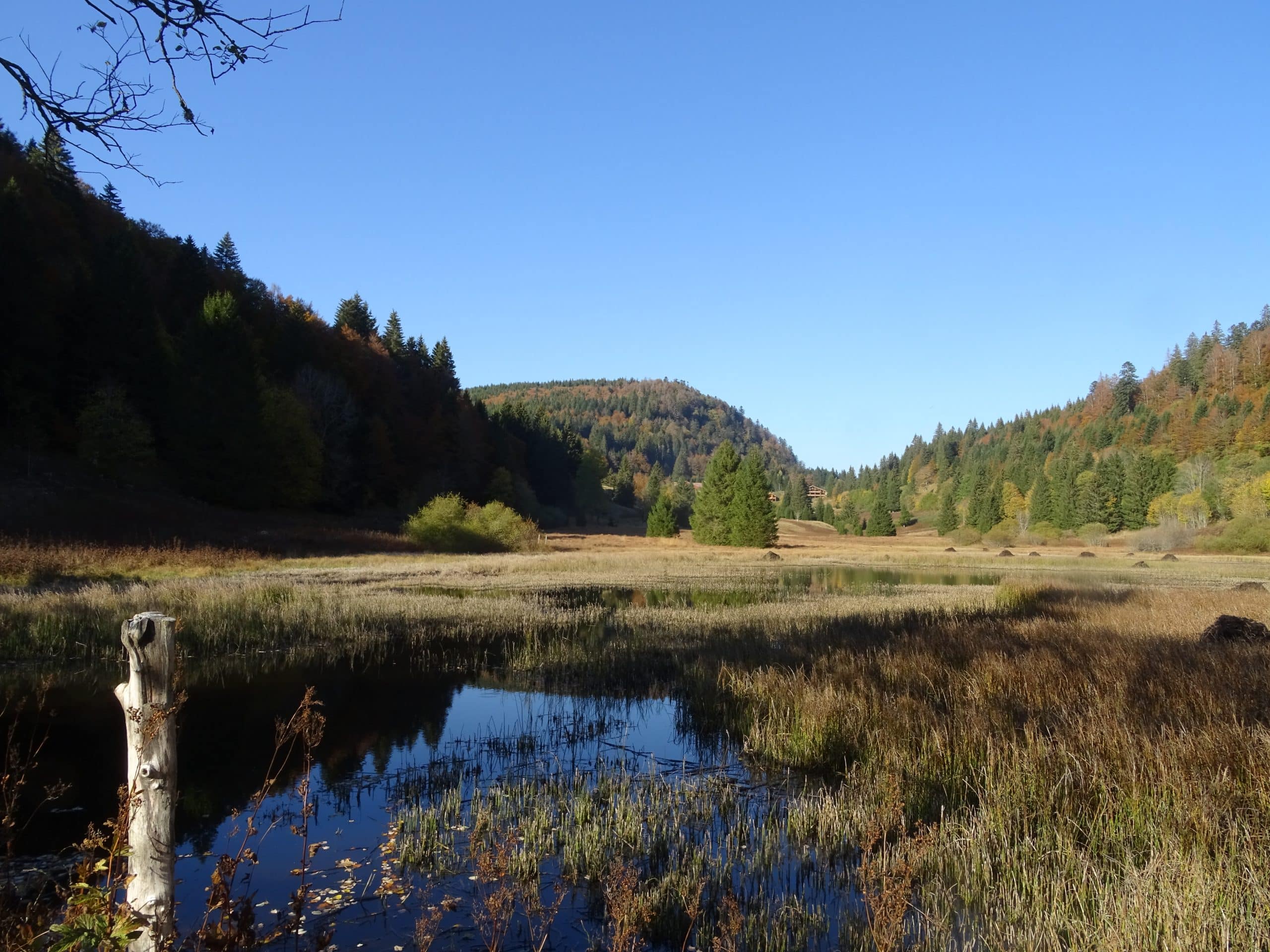 Photo des Vosges