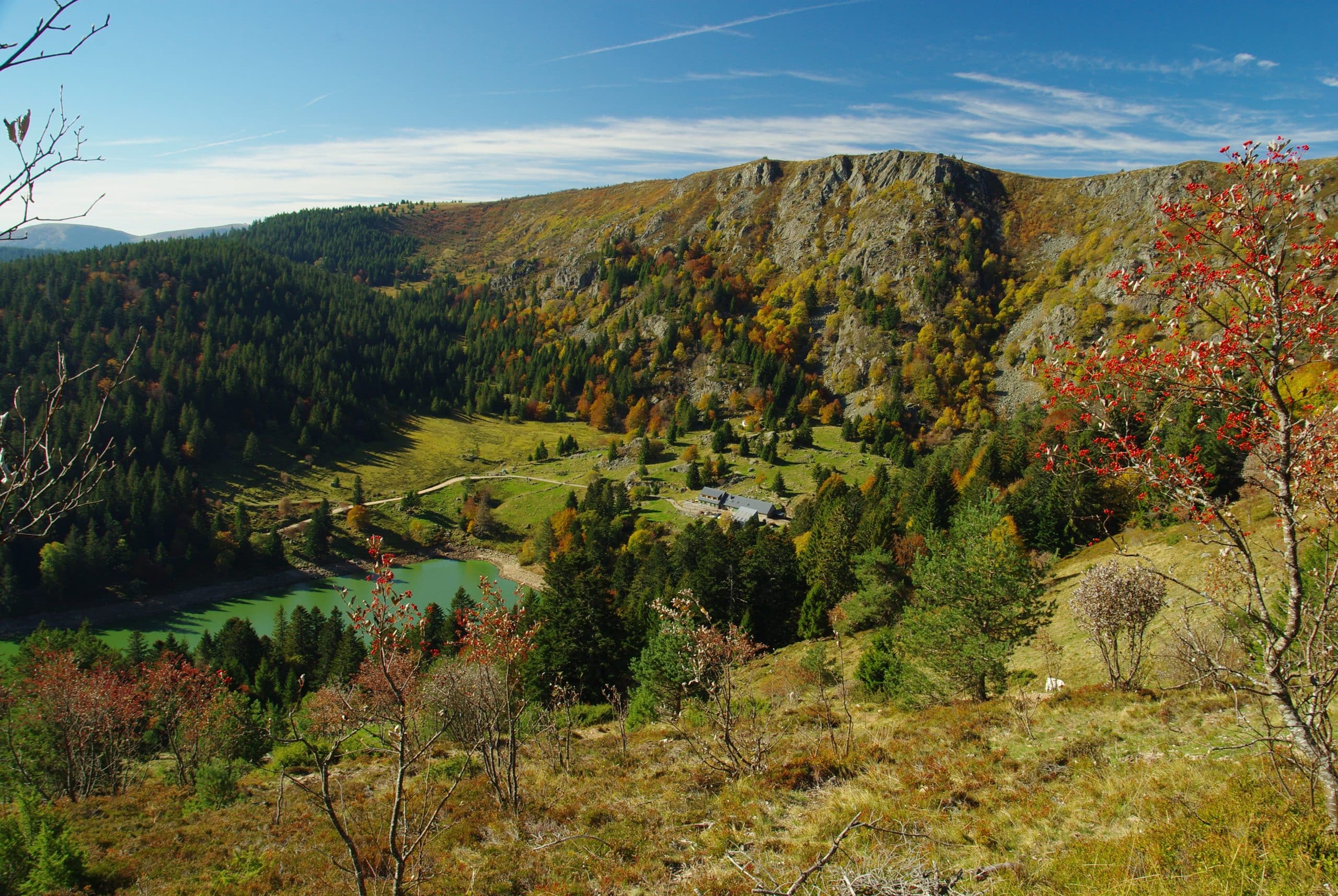 Vue des Vosges l'été - Camping Belle Hutte