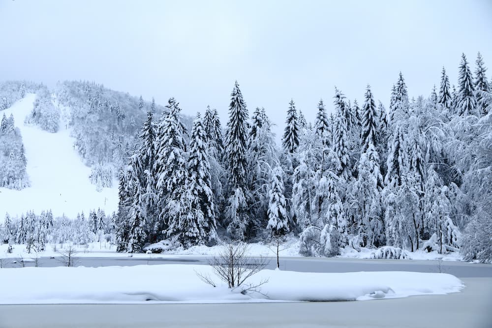 Lac Lispach l'hiver dans les Vosges - Camping Belle Hutte