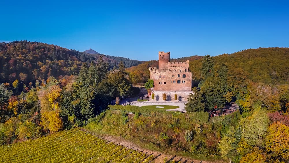 chateau de kintzheim - volerie des aigles - camping belle hutte vosges
