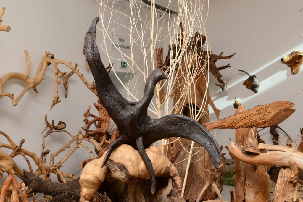 musee 1001 racines - camping vosges - belle hutte