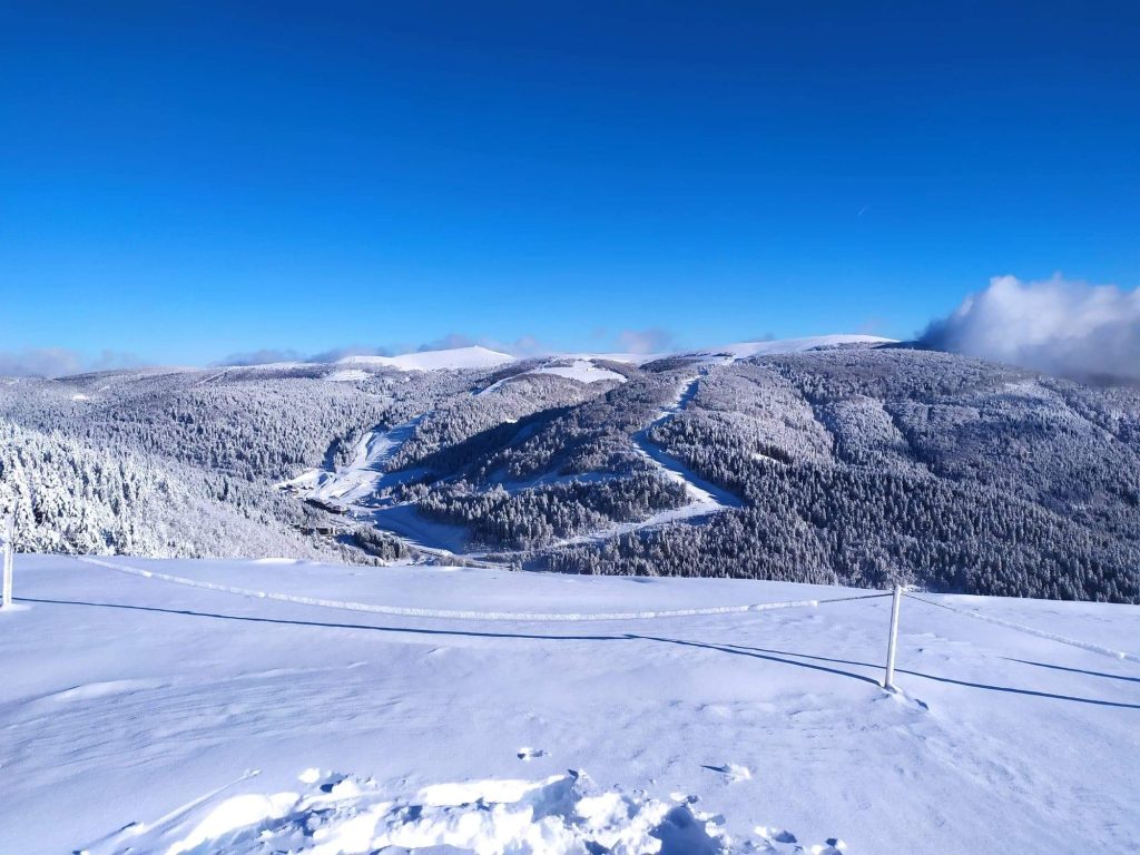 Montagne et sapins dans les Vosges l'hiver