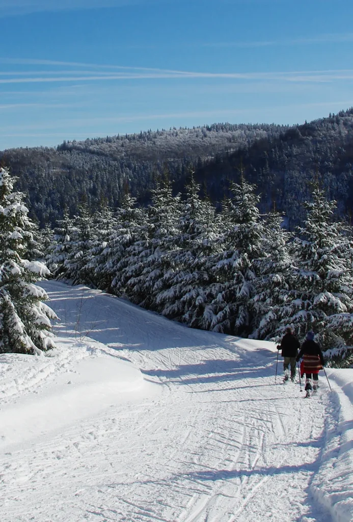 Piste de ski à La Bresse l'hiver dans les Vosges