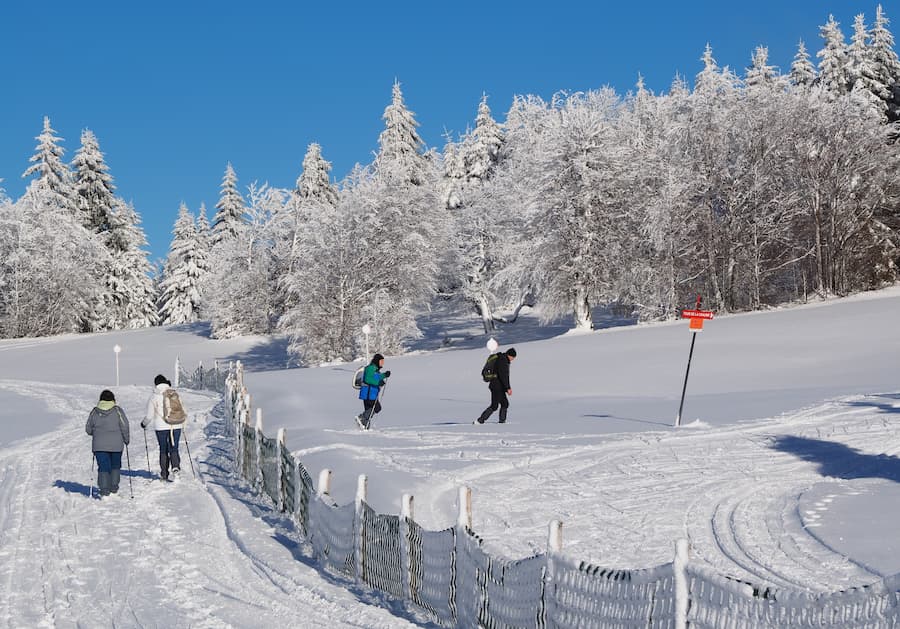 Vacanciers lors d'un week-end insolite dans les Vosges - Camping Belle Hutte