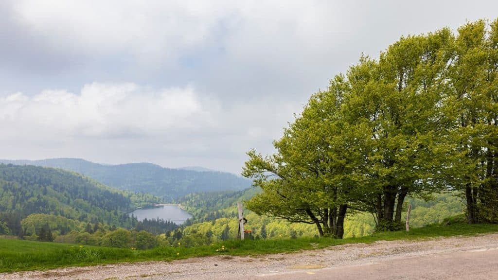 Lac de la Lande près du camping Vosges de Belle Hutte