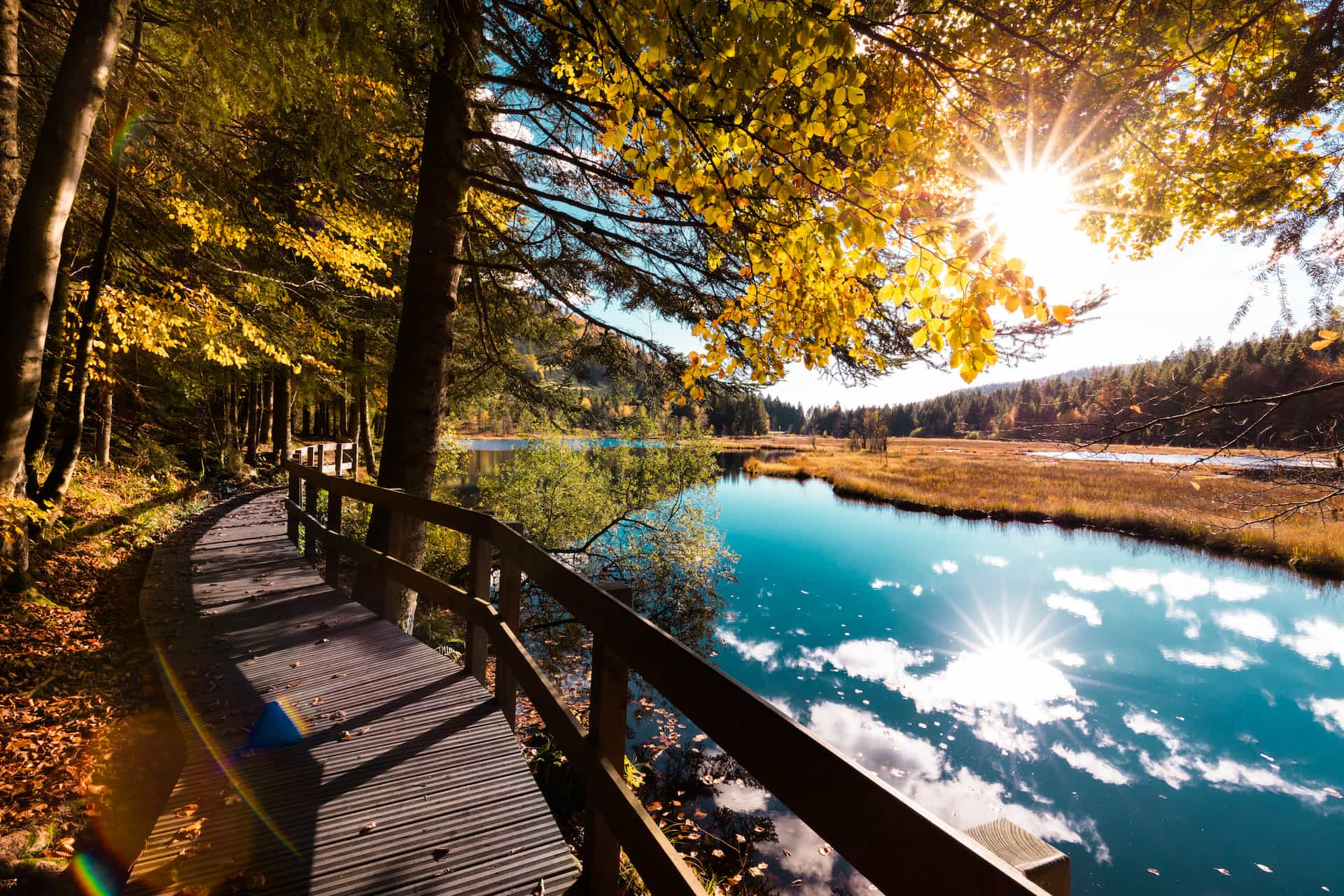 Lac de Lispach dans les Vosges - Camping dans les Vosges proche d'un lac