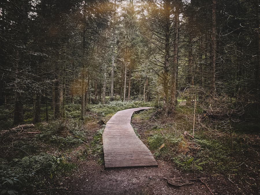 Chemin autour du lac Lispach - Camping Belle Hutte