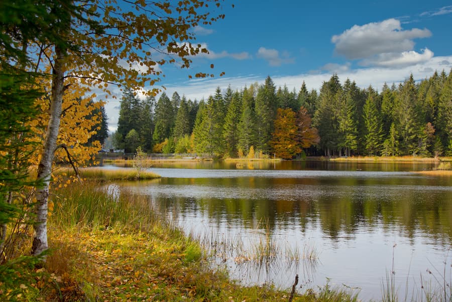 Lac ete de Lispach - Camping Belle Hutte proche lac