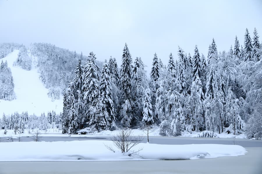 Lac de Lispach l'hiver - Camping Vosges près lac - Belle Hutte