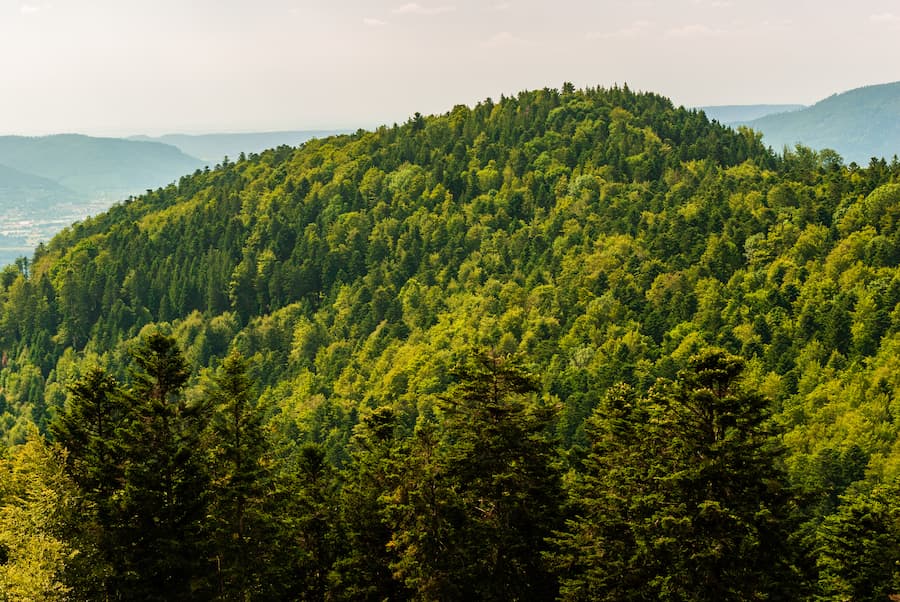 panorama hautes-vosges - camping belle hutte