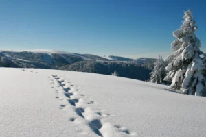 Domaine skiable Gerardmer - Camping Belle Hutte