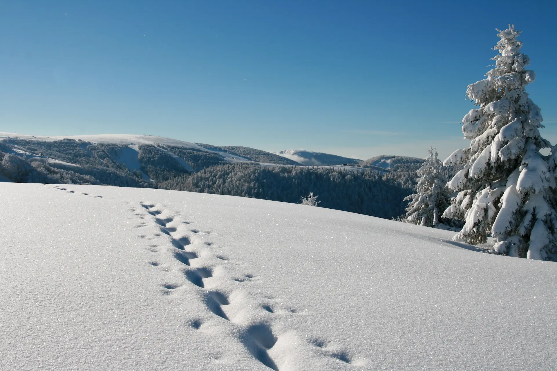 Domaine skiable Gerardmer - Camping Belle Hutte