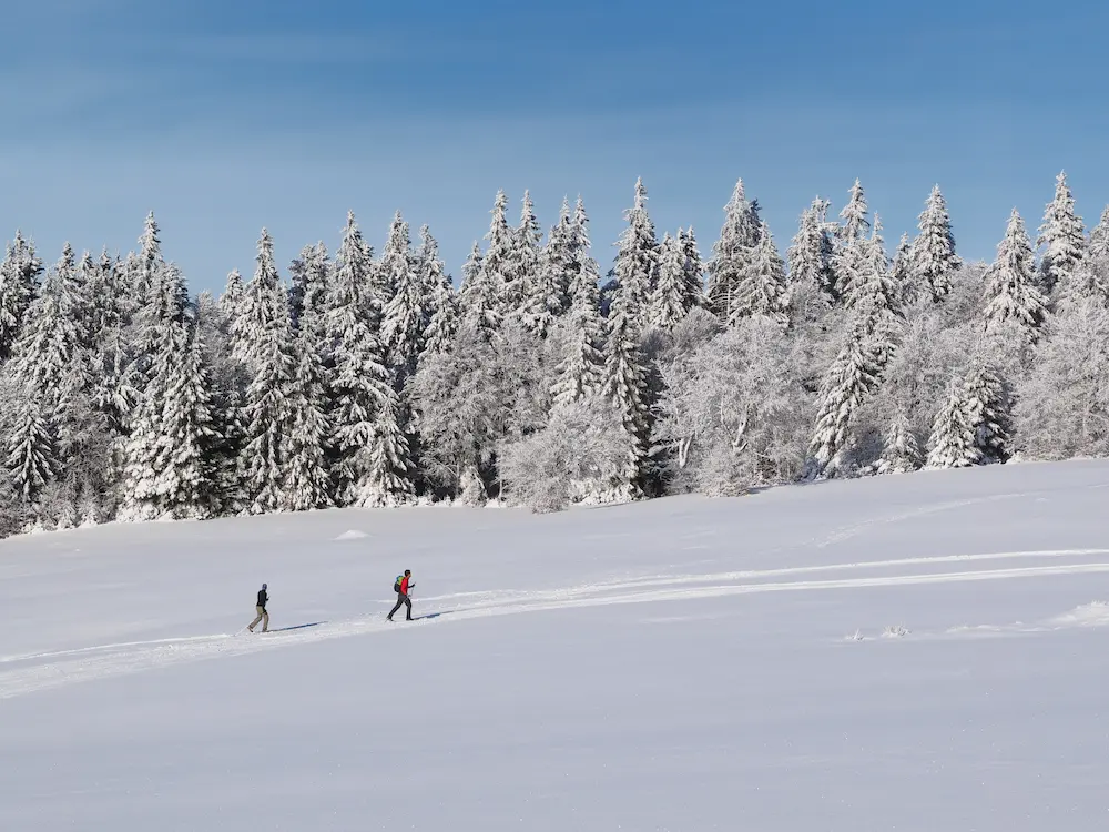 Ski de fond au domaine skiable de Gerardmer - Camping Belle Hutte Gerardmer