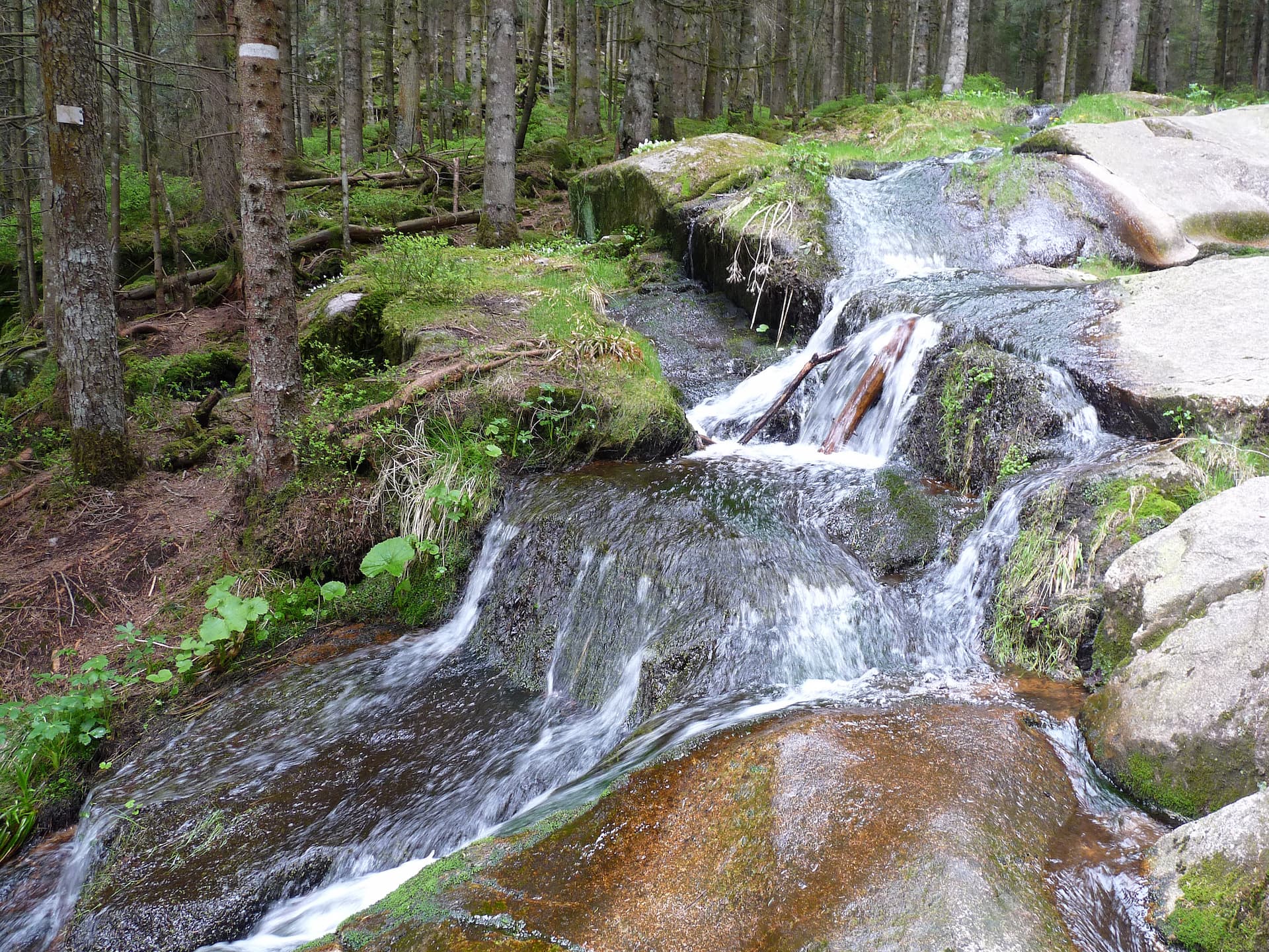 ruisseau de la cascade de merelle
