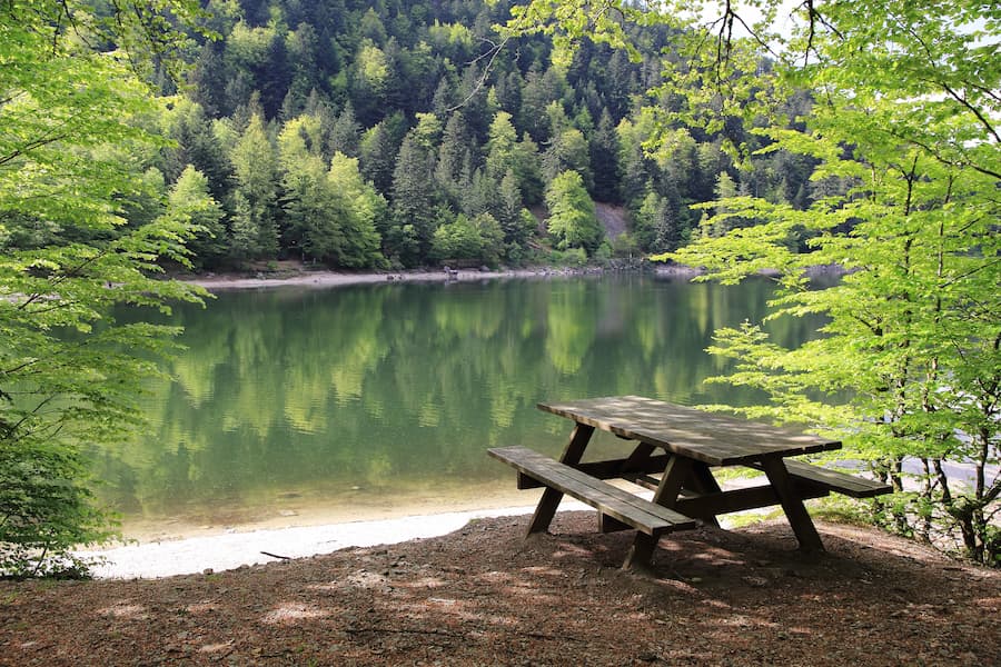 table pique-nique au lac des corbeaux - camping vosges